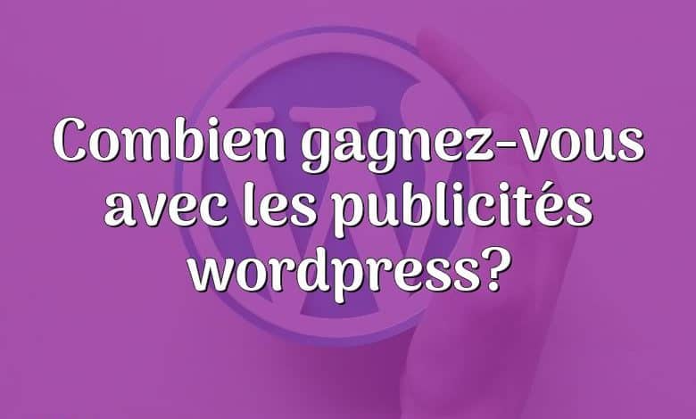 Combien gagnez-vous avec les publicités wordpress?
