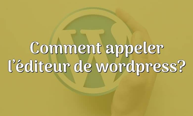 Comment appeler l’éditeur de wordpress?