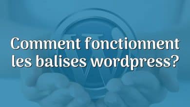 Comment fonctionnent les balises wordpress?
