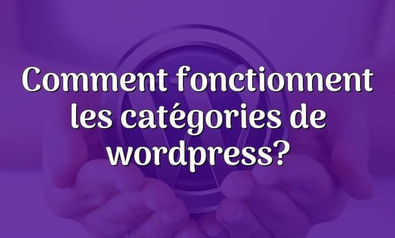 Comment fonctionnent les catégories de wordpress?