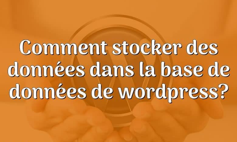 Comment stocker des données dans la base de données de wordpress?