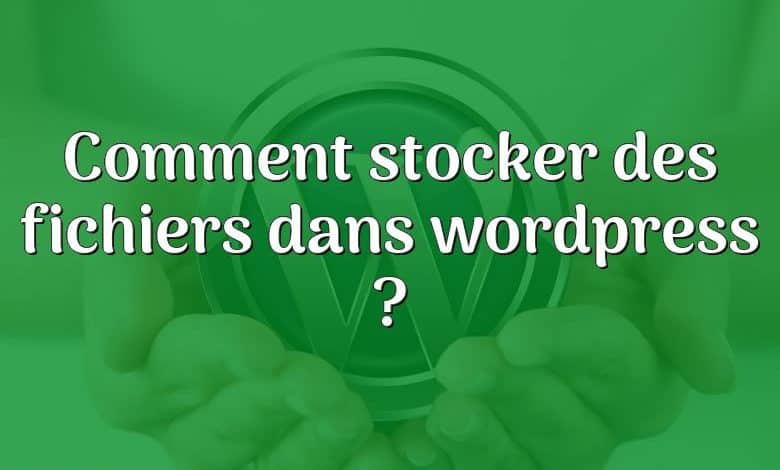Comment stocker des fichiers dans wordpress ?