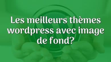 Les meilleurs thèmes wordpress avec image de fond?