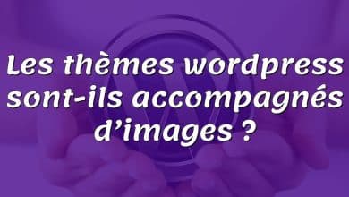 Les thèmes wordpress sont-ils accompagnés d’images ?