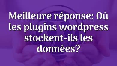 Meilleure réponse: Où les plugins wordpress stockent-ils les données?