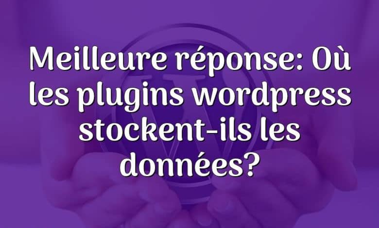 Meilleure réponse: Où les plugins wordpress stockent-ils les données?