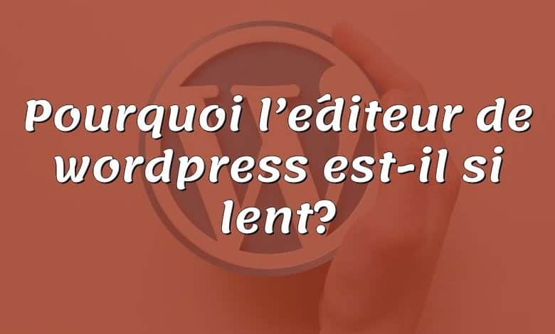 Pourquoi l’éditeur de wordpress est-il si lent?