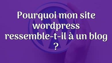 Pourquoi mon site wordpress ressemble-t-il à un blog ?