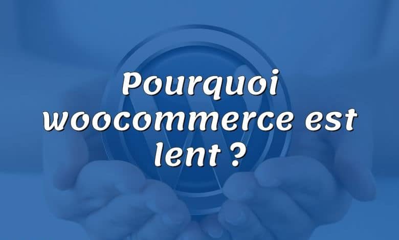 Pourquoi woocommerce est lent ?
