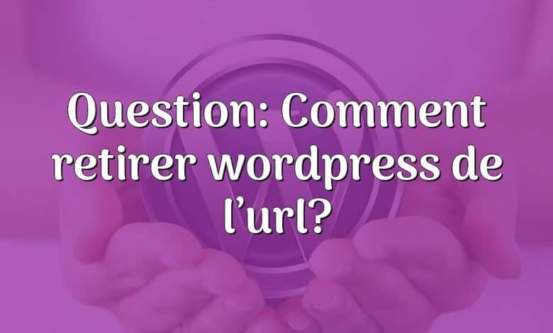 Question: Comment retirer wordpress de l’url?