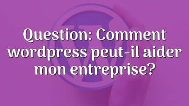 Question: Comment wordpress peut-il aider mon entreprise?