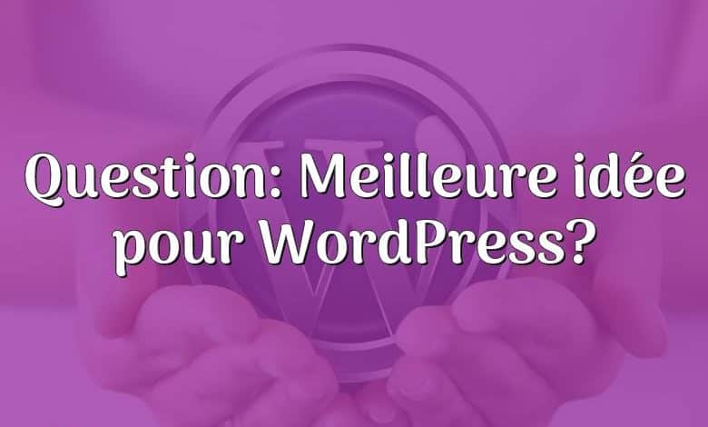Question: Meilleure idée pour WordPress?