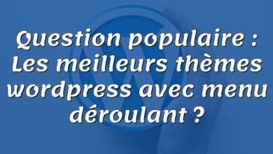 Question populaire : Les meilleurs thèmes wordpress avec menu déroulant ?