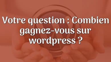 Votre question : Combien gagnez-vous sur wordpress ?