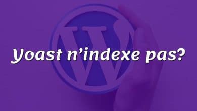 Yoast n’indexe pas?